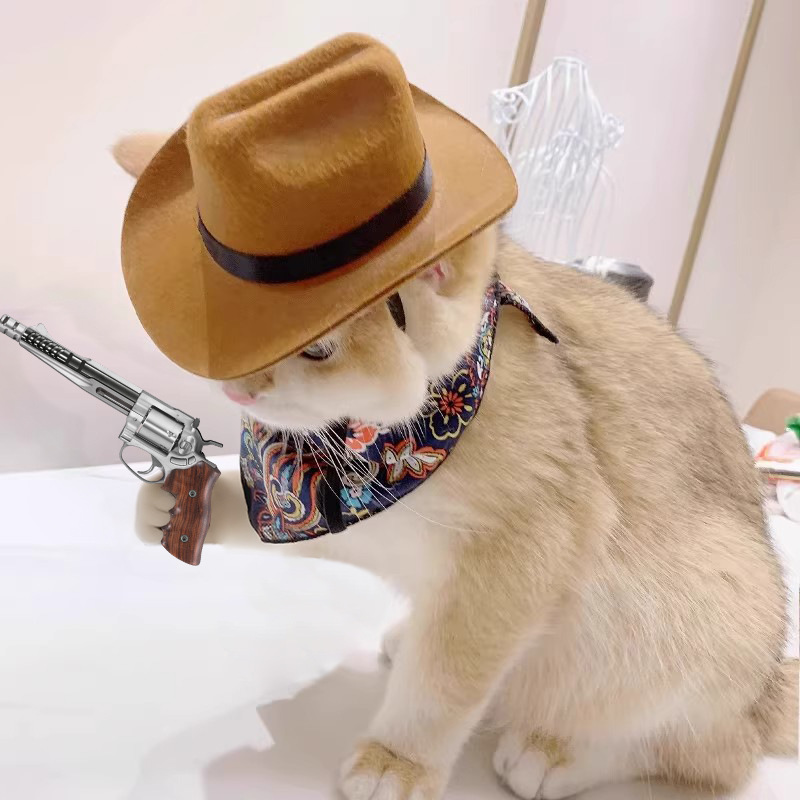 Cowboy Hat Straw - ﻿ Kedi Kovboy Şapkası Evcil Hayvan